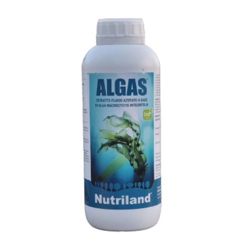 Algas concime concentrato - concime,