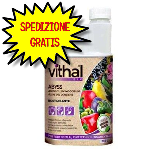 Vithal bio abyss - vithal,