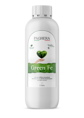 Paghera novaera green 1 - paghera, fe