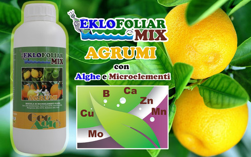 Eklofoliar mix agrumi concime - mix, agrumi,