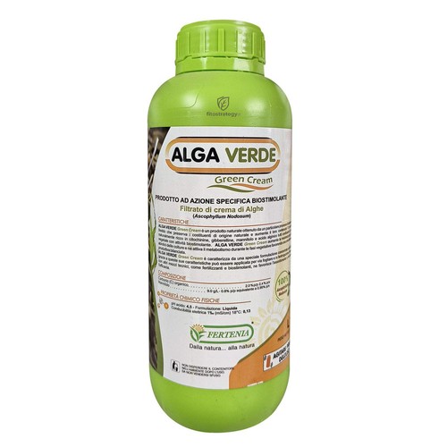 Alga verde green cream - green,
