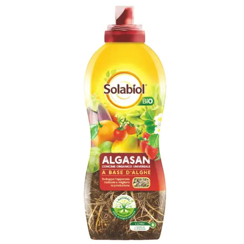 Concime liquido algasan - concime,